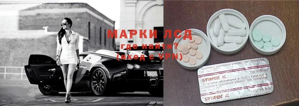PSILOCYBIN Белокуриха
